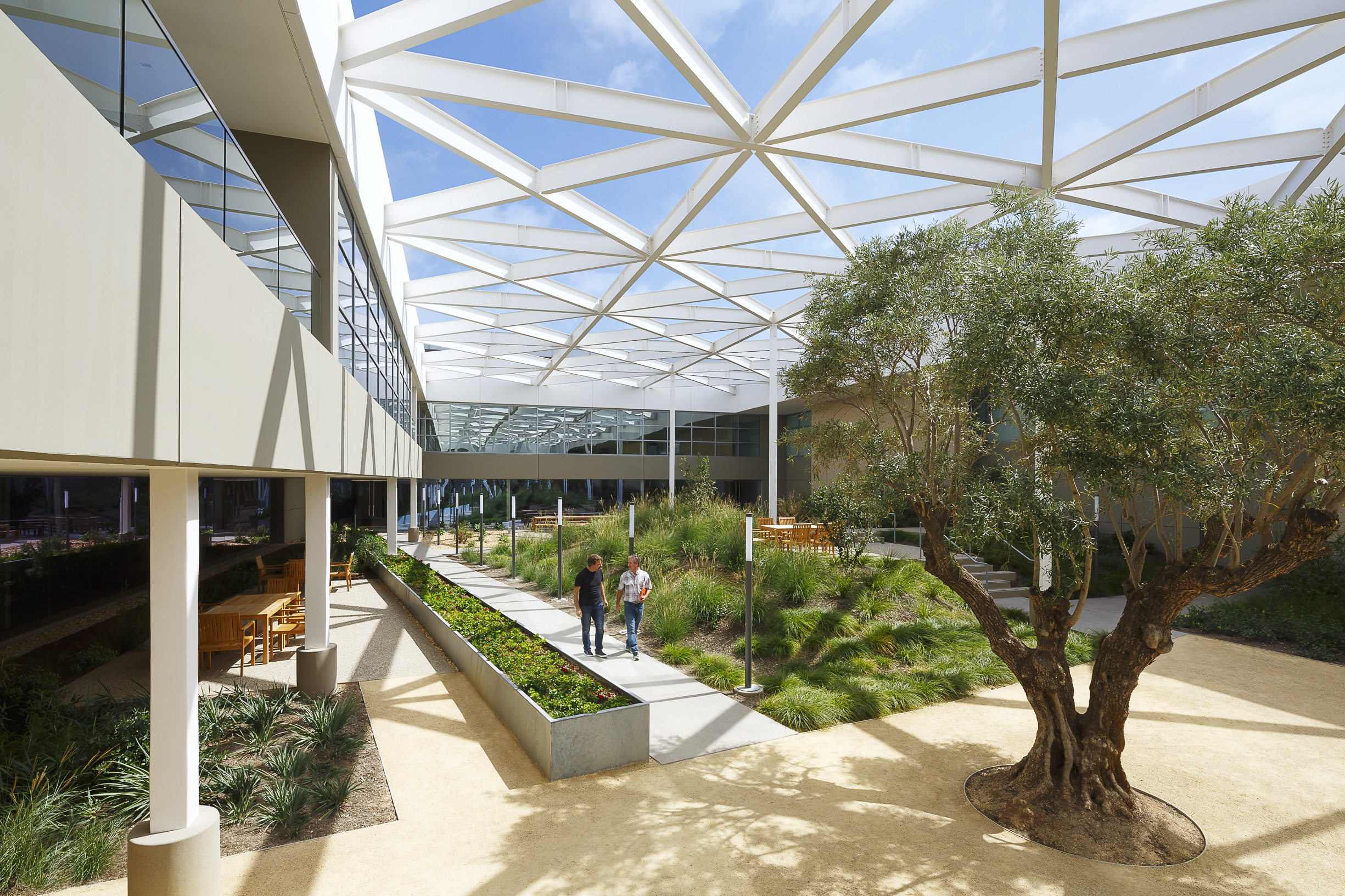 MASIMO CORPORATION ATRIUM